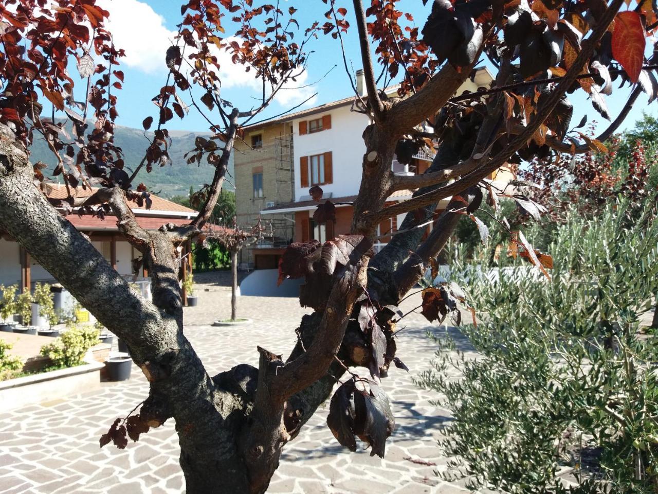 Bed & Breakfast Ciancaleoni Rivotorto Εξωτερικό φωτογραφία
